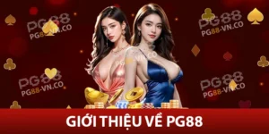 Giới thiệu PG88